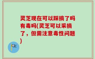 灵芝现在可以踩摘了吗有毒吗(灵芝可以采摘了，但需注意毒性问题)