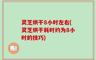 灵芝烘干8小时左右(灵芝烘干耗时约为8小时的技巧)