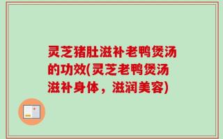 灵芝猪肚滋补老鸭煲汤的功效(灵芝老鸭煲汤滋补身体，滋润美容)