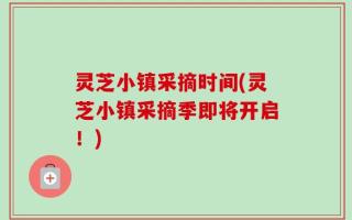 灵芝小镇采摘时间(灵芝小镇采摘季即将开启！)