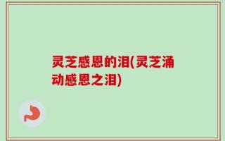 灵芝感恩的泪(灵芝涌动感恩之泪)