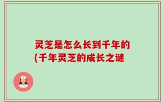 灵芝是怎么长到千年的(千年灵芝的成长之谜