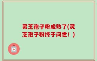 灵芝孢子粉成熟了(灵芝孢子粉终于问世！)
