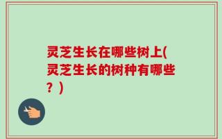 灵芝生长在哪些树上(灵芝生长的树种有哪些？)