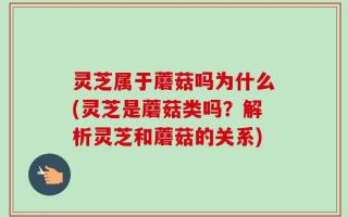 灵芝属于蘑菇吗为什么(灵芝是蘑菇类吗？解析灵芝和蘑菇的关系)
