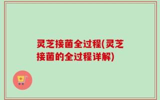 灵芝接菌全过程(灵芝接菌的全过程详解)