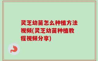 灵芝幼苗怎么种植方法视频(灵芝幼苗种植教程视频分享)