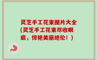 灵芝手工花束图片大全(灵芝手工花束尽收眼底，惊艳美丽绝伦！)