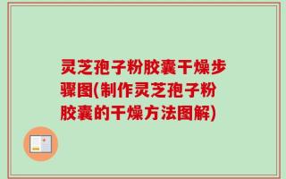 灵芝孢子粉胶囊干燥步骤图(制作灵芝孢子粉胶囊的干燥方法图解)