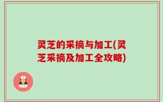 灵芝的采摘与加工(灵芝采摘及加工全攻略)