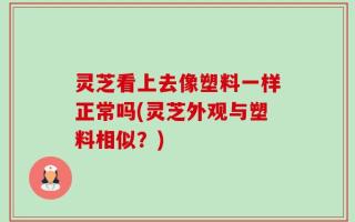 灵芝看上去像塑料一样正常吗(灵芝外观与塑料相似？)