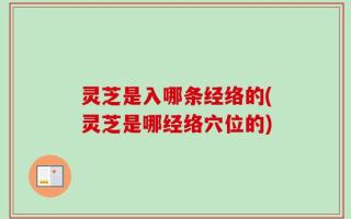 灵芝是入哪条经络的(灵芝是哪经络穴位的)
