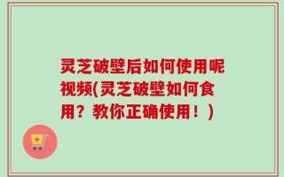 灵芝破壁后如何使用呢视频(灵芝破壁如何食用？教你正确使用！)