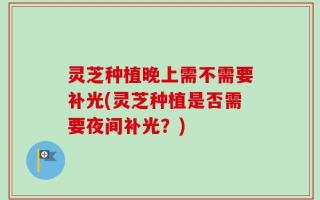 灵芝种植晚上需不需要补光(灵芝种植是否需要夜间补光？)