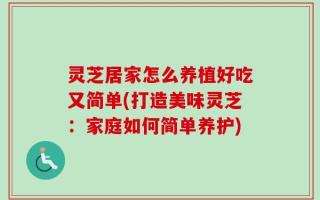 灵芝居家怎么养植好吃又简单(打造美味灵芝：家庭如何简单养护)