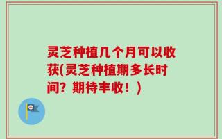 灵芝种植几个月可以收获(灵芝种植期多长时间？期待丰收！)