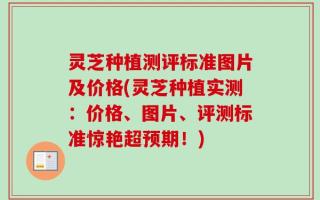 灵芝种植测评标准图片及价格(灵芝种植实测：价格、图片、评测标准惊艳超预期！)