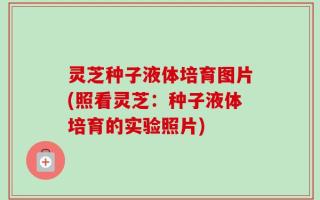 灵芝种子液体培育图片(照看灵芝：种子液体培育的实验照片)