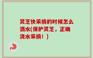灵芝快采摘的时候怎么洒水(保护灵芝，正确浇水采摘！)