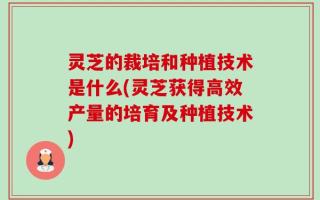 灵芝的裁培和种植技术是什么(灵芝获得高效产量的培育及种植技术)