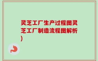 灵芝工厂生产过程图灵芝工厂制造流程图解析)