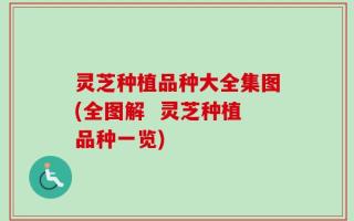 灵芝种植品种大全集图(全图解  灵芝种植品种一览)
