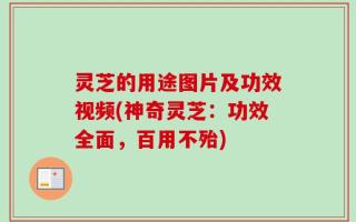 灵芝的用途图片及功效视频(神奇灵芝：功效全面，百用不殆)