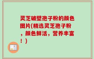 灵芝破壁孢子粉的颜色图片(精选灵芝孢子粉，颜色鲜活，营养丰富！)