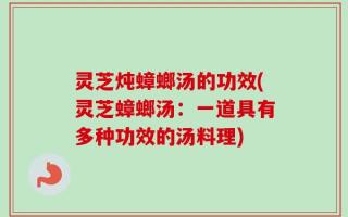 灵芝炖蟑螂汤的功效(灵芝蟑螂汤：一道具有多种功效的汤料理)
