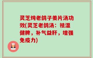 灵芝炖老鸽子姜片汤功效(灵芝老鸽汤：祛湿健脾，补气益肝，增强免疫力)