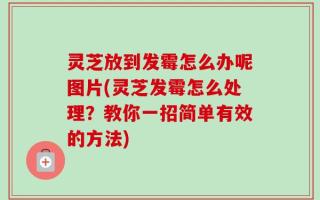 灵芝放到发霉怎么办呢图片(灵芝发霉怎么处理？教你一招简单有效的方法)