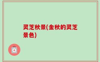 灵芝秋景(金秋的灵芝景色)