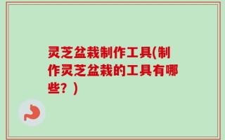 灵芝盆栽制作工具(制作灵芝盆栽的工具有哪些？)