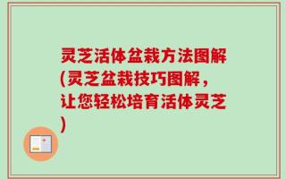灵芝活体盆栽方法图解(灵芝盆栽技巧图解，让您轻松培育活体灵芝)
