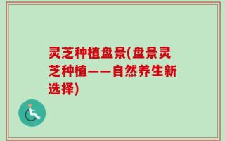 灵芝种植盘景(盘景灵芝种植——自然养生新选择)