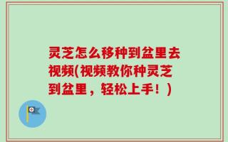 灵芝怎么移种到盆里去视频(视频教你种灵芝到盆里，轻松上手！)