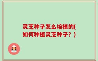 灵芝种子怎么培植的(如何种植灵芝种子？)