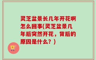 灵芝盆景长几年开花啊怎么回事(灵芝盆景几年后突然开花，背后的原因是什么？)