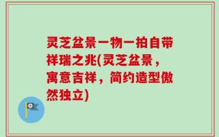 灵芝盆景一物一拍自带祥瑞之兆(灵芝盆景，寓意吉祥，简约造型傲然独立)