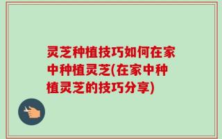 灵芝种植技巧如何在家中种植灵芝(在家中种植灵芝的技巧分享)