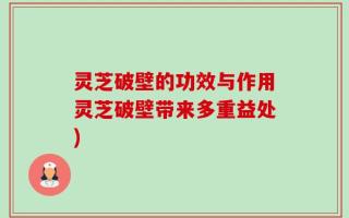灵芝破壁的功效与作用灵芝破壁带来多重益处)