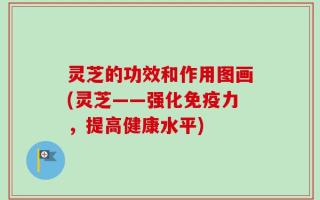 灵芝的功效和作用图画(灵芝——强化免疫力，提高健康水平)