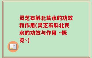 灵芝石斛北芪水的功效和作用(灵芝石斛北芪水的功效与作用 ~概览~)