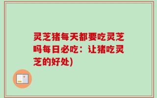 灵芝猪每天都要吃灵芝吗每日必吃：让猪吃灵芝的好处)