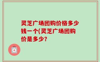 灵芝广场团购价格多少钱一个(灵芝广场团购价是多少？