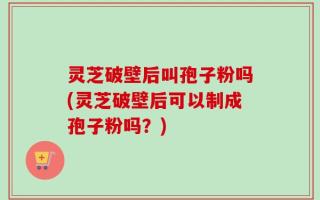 灵芝破壁后叫孢子粉吗(灵芝破壁后可以制成孢子粉吗？)
