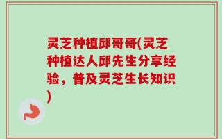灵芝种植邱哥哥(灵芝种植达人邱先生分享经验，普及灵芝生长知识)