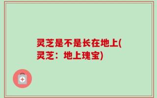 灵芝是不是长在地上(灵芝：地上瑰宝)