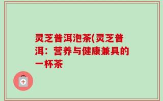 灵芝普洱泡茶(灵芝普洱：营养与健康兼具的一杯茶