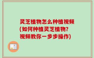 灵芝植物怎么种植视频(如何种植灵芝植物？视频教你一步步操作)